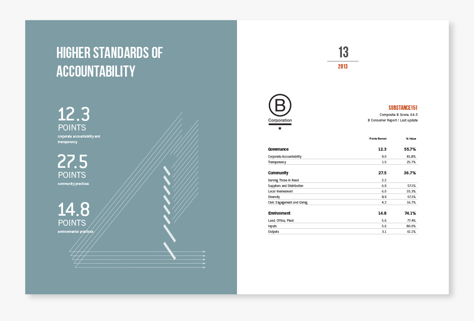 substance151 annual report