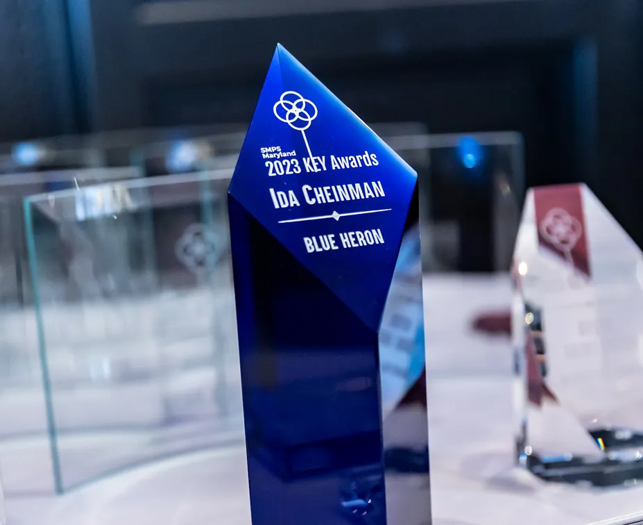Ida Cheinman, Principal and Creative Director, Substance151, receives SMPS Maryland Blue Heron Award